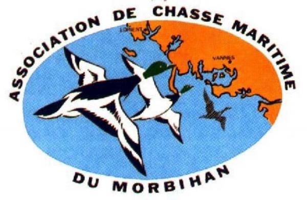 logo-acmm.jpg